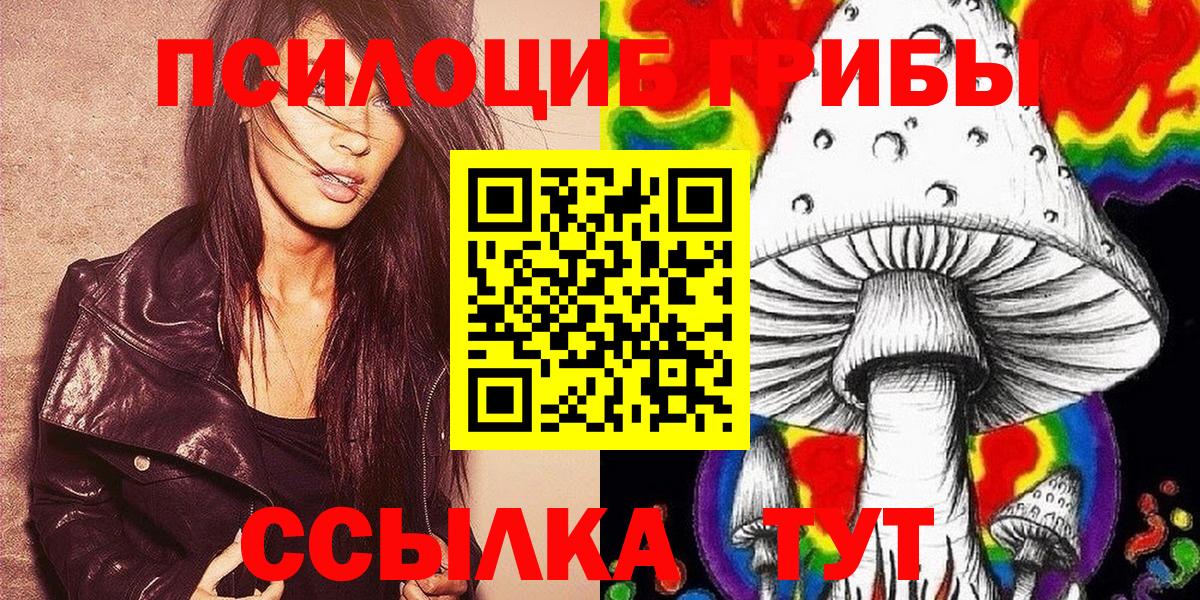 Псилоцибиновые грибы Psilocybe Воркута